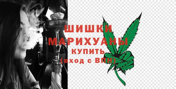 хмурый Заводоуковск