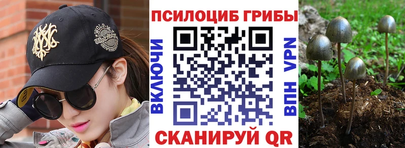Галлюциногенные грибы Magic Shrooms  Купить  Кочубеевское 